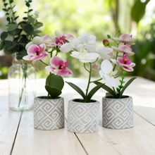 �����m�辰����[���r�мҾ���Ʒ���滨�h�������Gֲ���Լٻ��S��