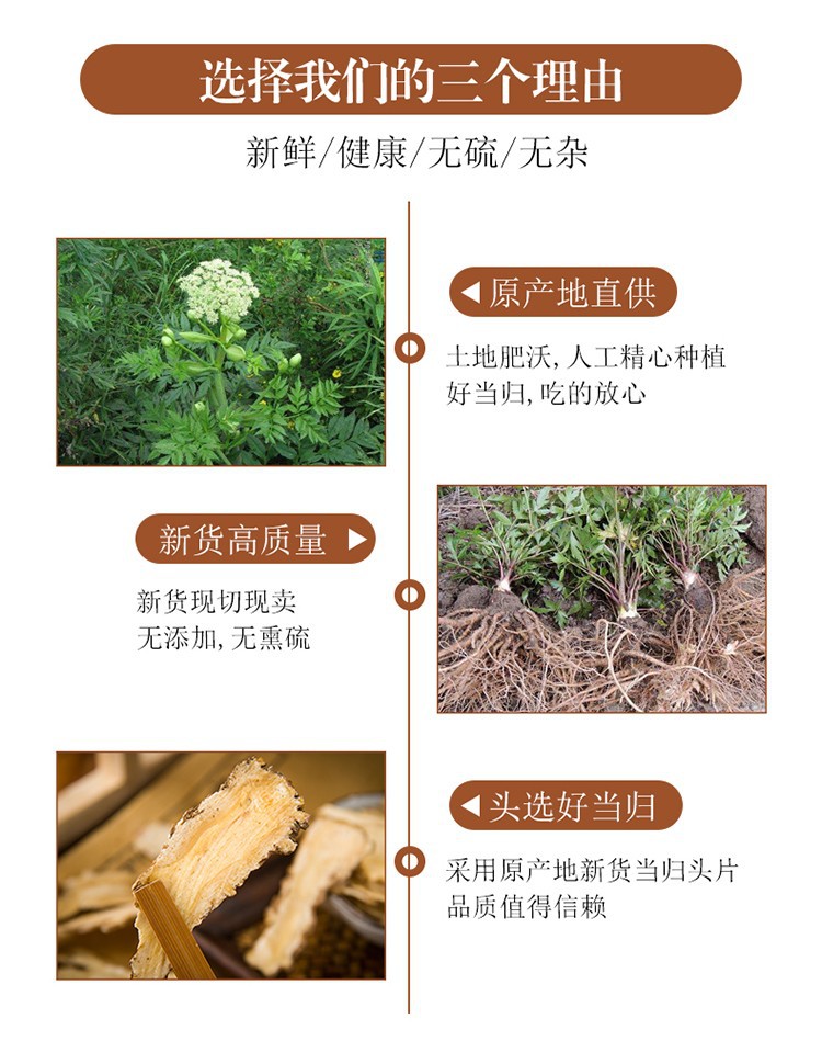 Dried Angelica Sinensis Slices Dang Gui 500g Premium Minxian Whole Root Herbal Decoction Pieces key features