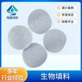 生物膜片填料HDPE芯片填料悬浮生物薯片填料污水处理过滤翻滚滤材