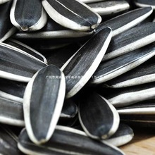 ���������տ����ӿ����у��ɴ����F�l�����Ӯa����؛���l���r��