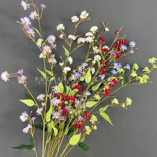 ��Ʒ��Ӣ���滨���l���Ҿ��b�Y��c��ֲ���쾰СҰ�����Q����