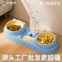 自动定制猫咪狗粮宠物碗