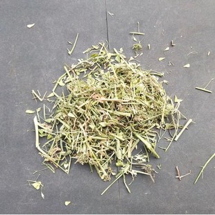 ��ș�� �j�˻� 1�����j�� ���j�� �j�˸� �˻� ���׻� �j�j��