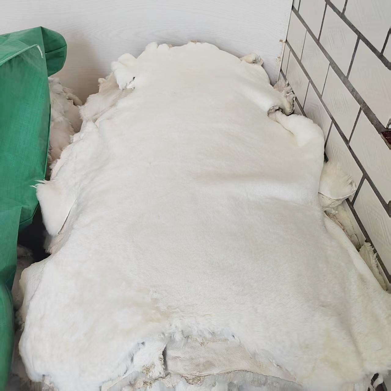 微信图片_20250617101055