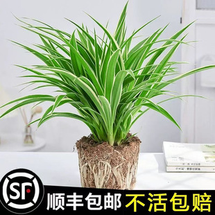 ��߅���m���ԾGֲ�����҃�ˮ��ˮ�B�����՚�͏d���˺��B��������