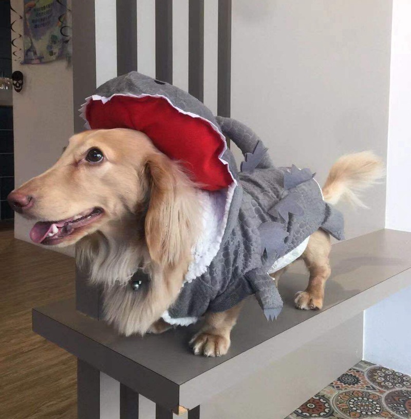 5c6b3e0376121a4ceb52d13dba0900