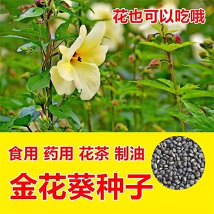 ����S�N��Ұ�o���^�p�_���N�ѽ𻨻���ܽ���^���r�I�˿�ܽ�خa�I