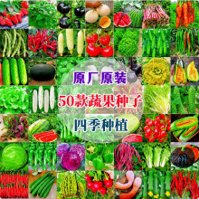 蔬菜种子四季播盆栽阳台庭院香菜青菜萝卜生菜小葱菠菜豌豆籽大全