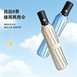雨伞