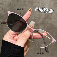 ��ϵ����ݮ�۽�ϸ���ɫ�������۾��й��ɫ���������ճ�ͨ���۾�