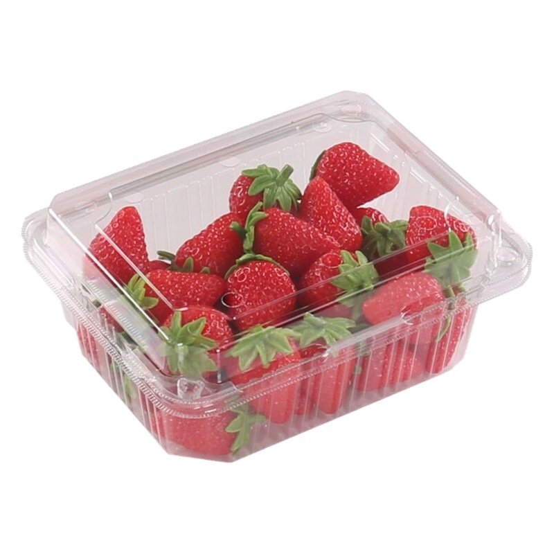 Disposable Fruit Box Transparent Thickeneded Fruit and Vegetable Packaging Box Blue Strawberry Raisin Durian Box Plastic Packaging Box with Lid