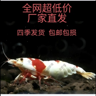 �^�p�rˮ���r�t�׺ڰ׼t�y�Ӻڻ�����ֳ����ĸ����ĸ�����r�����r