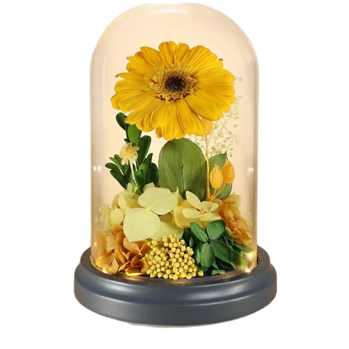 Flor eterna, rosa, cubierta de vidrio, decoración, ramo seco de rosas de girasol, regalo de cumpleaños de San Valentín para novias y novias