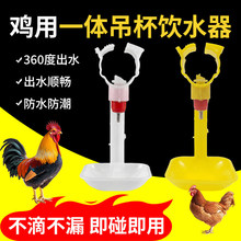鸡用饮水器钢球连体吊杯自动乳头饮水器接水杯养鸭鹅水线设备水嘴