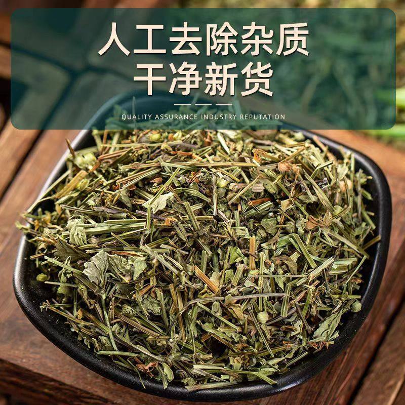 Ban Zhi Lian Dried Herb 250g Wild-Harvested Scutellaria barbata Whole Plant Traditional TCM Decoction Herb in use