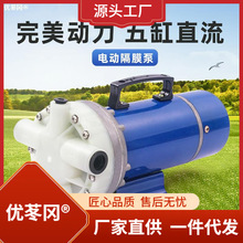 电动喷雾器高压农用12V48V60V打药机5缸隔膜泵自吸式灌水冲肥泵