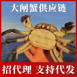 大闸蟹;腌制水产品