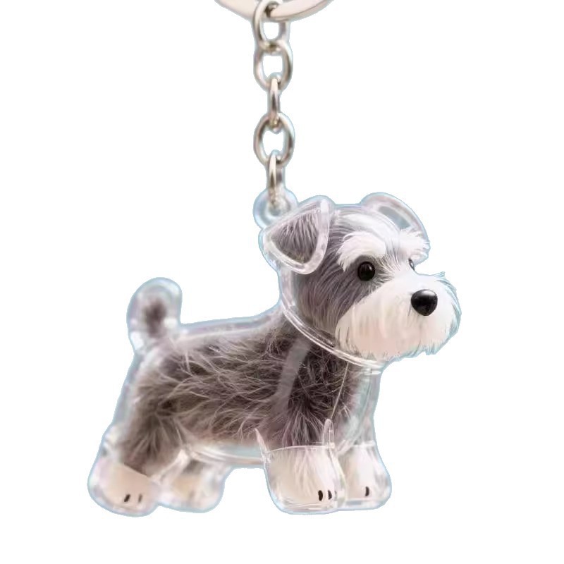 Caja de almacenamiento para perros y gatos colgantes de pelo transparente colección de almacenamiento cápsula bolsa colgantes de llaver