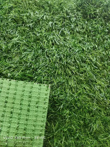 30mm spring grass grid [encrypted model]