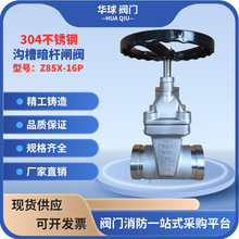 �Ϻ����� �Ϻ��_�Sϲ304���P䓜ϲ۰��Uܛ�ܷ��l�yZ85X-16P