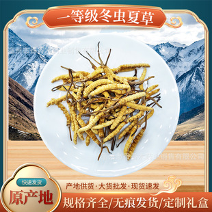 �������x�ݡ����L݅���y���aƷ�����������x�ĲݶY���x�ݸ�؛���l