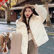 ��q��Ů����2024���¿�С���Ӷ̿�Ӻ�����q��ů���׳�