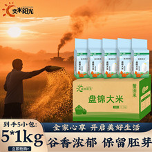 胚芽米10斤东北大米5kg盘锦蟹田米煮粥蒸米饭珍珠米真空包装批发