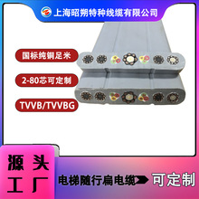 tvvb|CEJC,SֱN,|,|,SֱNɶ