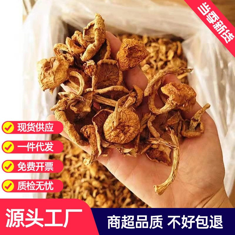 new goods Nameko dried food 500g Yellow mushroom Mushroom wild chick Mushroom Produce bulk wholesale