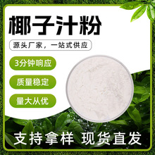 椰子汁粉 白色粉末 易溶于水 椰香 干燥避光储存 现货批发