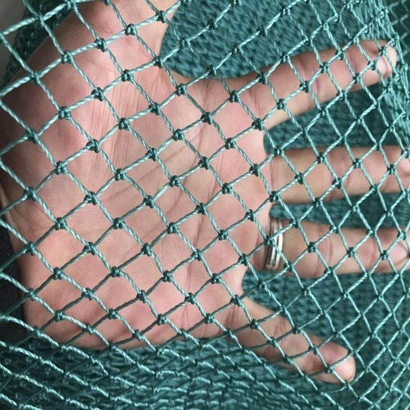 渔网拉网抬网网箱隔断养鱼网防鸟网养鸡网网片聚乙烯全新料