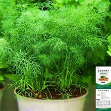 С����N�������߲������r�������ʳ���ļ��̨�r��ͥԺ���b���N