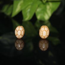 ���Q���N�й��ϰ������������ɢ�� �����������ղ� ��������