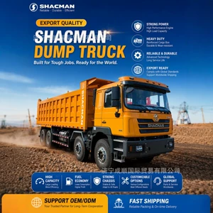Shaanxi DeLong F3000 8x4 ağır damperli yük maşını, mədən üçün