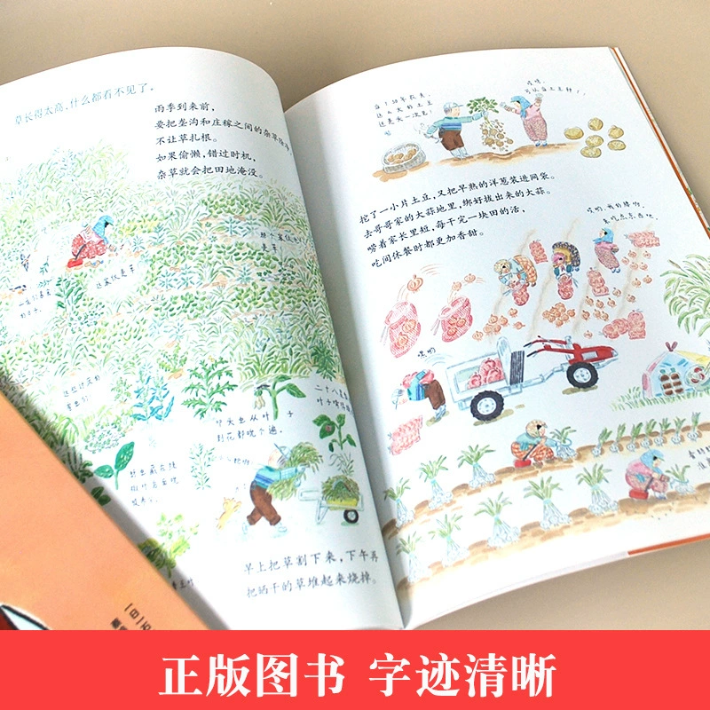 Летние каникулы, сто уроков, тысяча детей, внеурочные книги для 2 класса, кот и секрет перевёрнутого мира, цветное издание