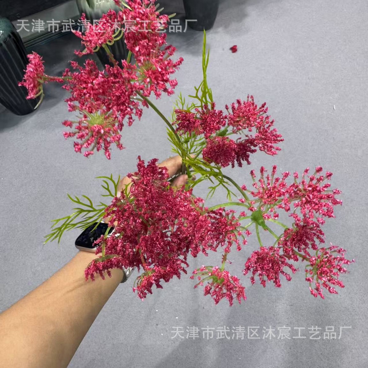로즈 레드