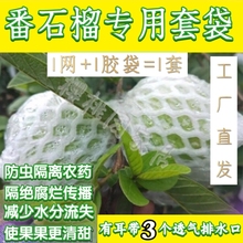 芭乐番石榴网袋套袋防虫水果保护袋特厚款番石榴泡沫一体网袋