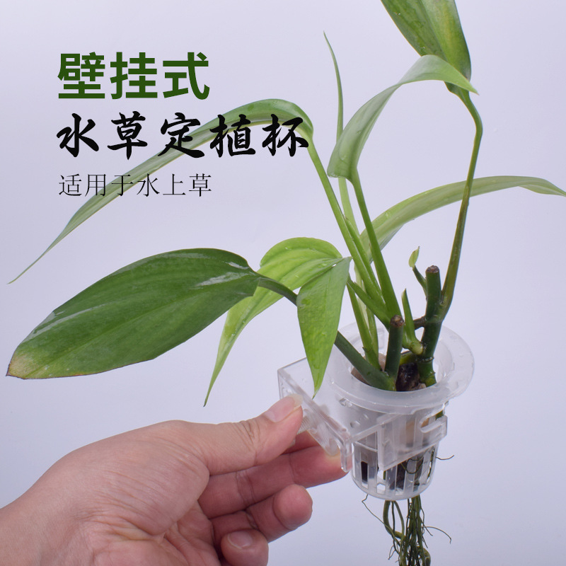魚缸水草杯水草定植籃水上葉山崎桂水培植物定植杯魚缸裝飾掛杯