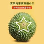 猫山王榴莲正宗马来西亚进口新鲜水果50斤/件【已废弃】