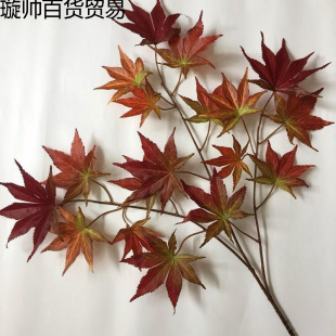 �~��ͩ���Ř��֦���Ṥ�̷���ٻ�ˇ���~�Gɫ��ͩ�~�쾰���~