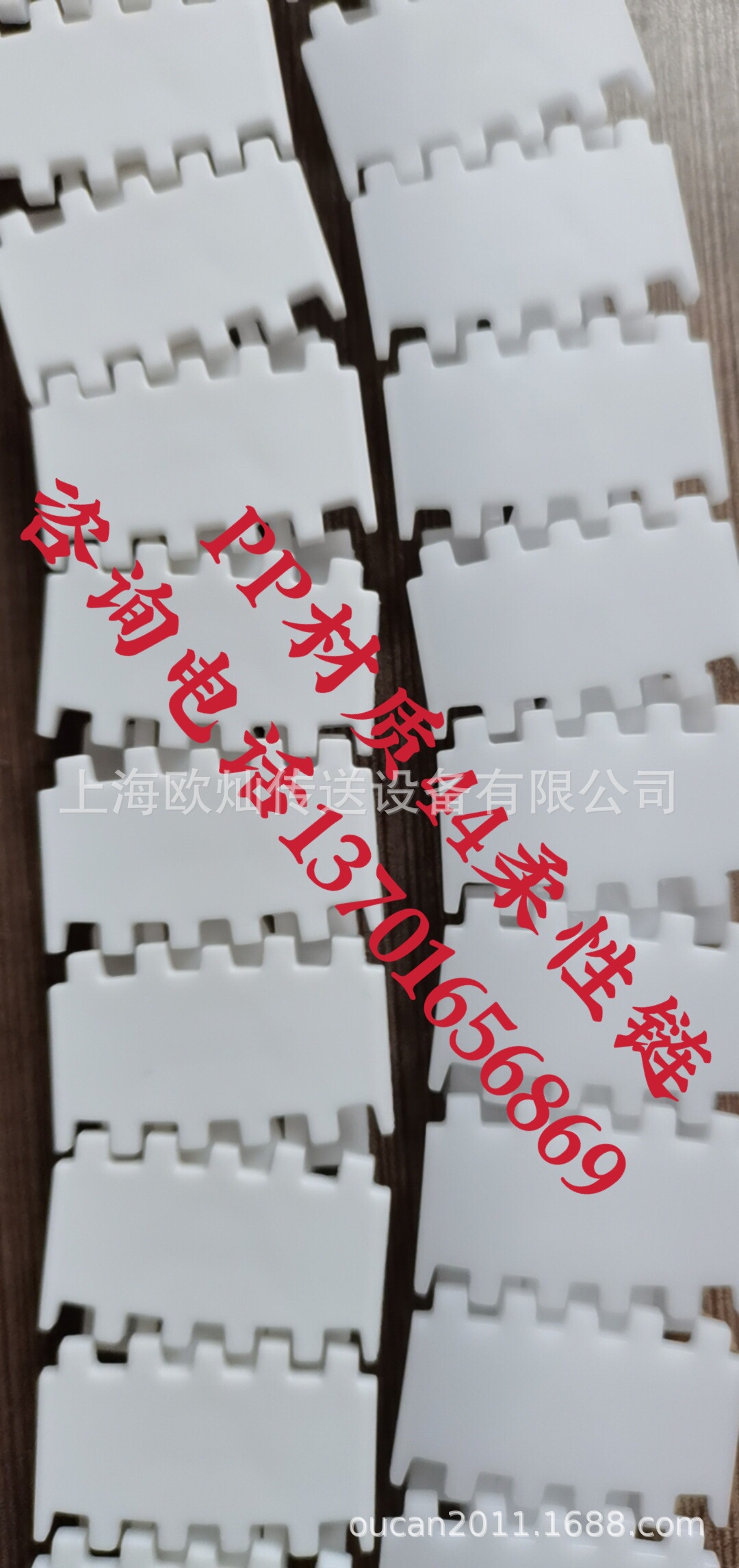 PP材质柔性链  耐酸碱耐腐蚀链板   44齿形链 44柔性链 PE链板