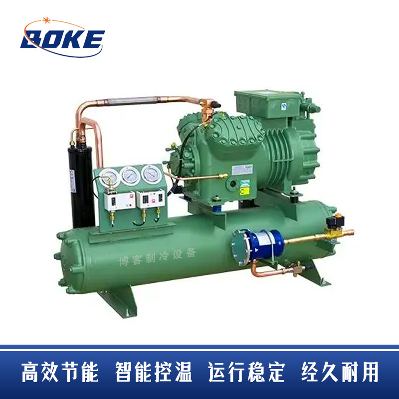 Bitzer比泽尔半封闭制冷机组 2EES-2Y