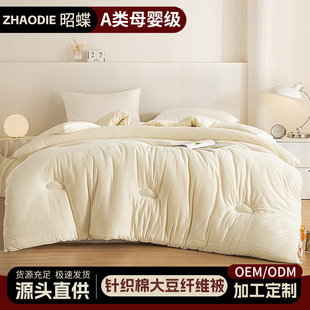 Class a Knitted Cotton Soy Fiber Quilt Thickeneded Winter Quilt Double Student Dormitory Spring & Fall Quilt Milk Cover Quilt Core Wholesale