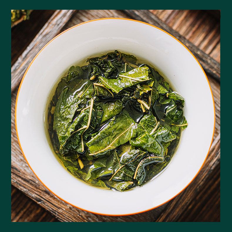 Post-Frost Mulberry Leaf Tea 250g Sang Ye Dried Chinese Herbal Tea Loose Leaves in use