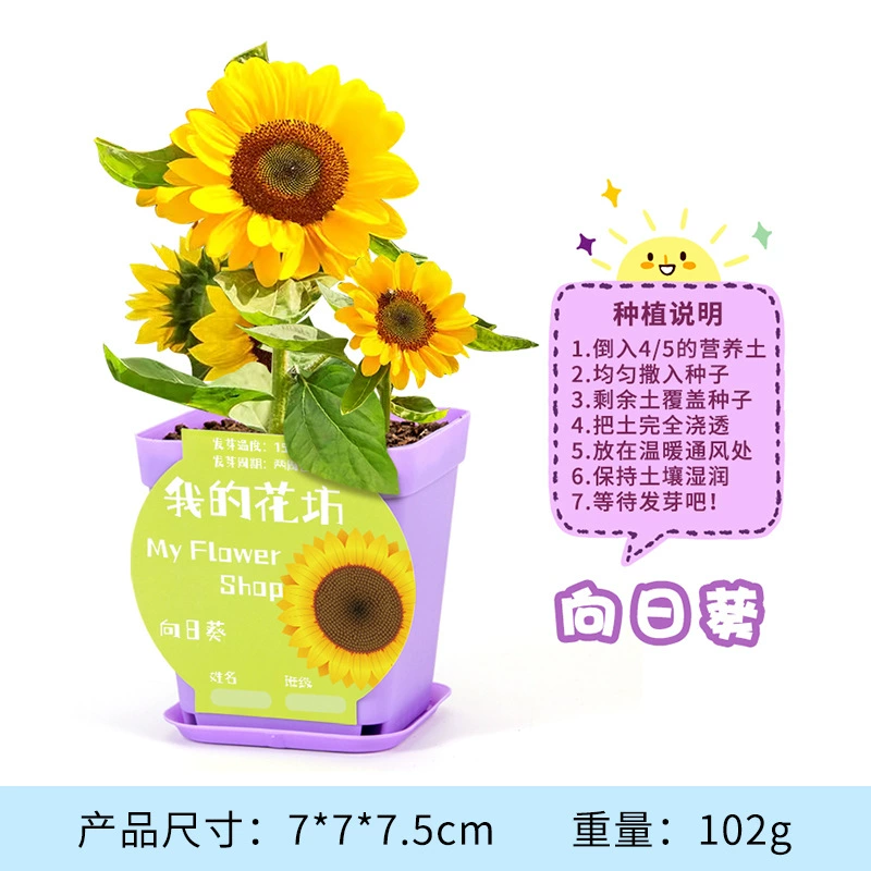 Materials set for experiments for kindergarten, DIY, science, generating electricity, mini experiment, Birthday gift