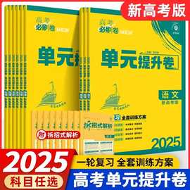 25版高考必刷卷单元提升卷语数英物化生地政历新高考版一轮复习