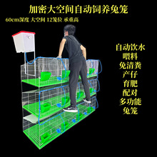 兔笼配对肉兔商品兔育肥笼母兔产仔笼长毛种兔12笼位加粗密兔笼子