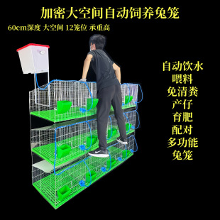 �û\�䌦������Ʒ�����ʻ\ĸ�îa�л\�Lë�N��12�\λ�Ӵ����û\��