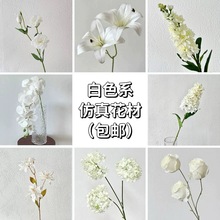 羳ߙnɫϵ滨cûYþƵb픷滨Ŵl