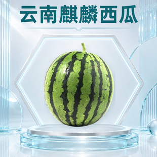 ����������� ���l3/9�����Ƥɳȿ���Ĵ���Ϸ��������rˮ��